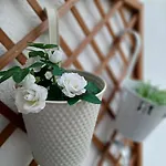 Bougainvillea Views - μπουκαμβίλια θέα Apartment *