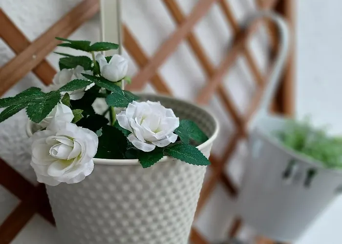 Bougainvillea Views - μπουκαμβίλια θέα Appartement *